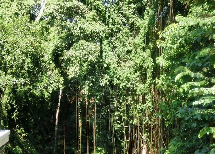 Latugu Gasthof Ubud